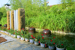 午夜免费电影園一瞥