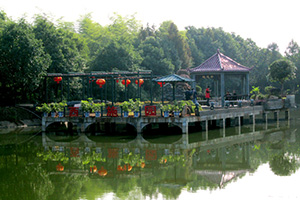 午夜免费电影園