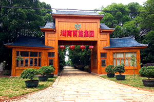 湖南午夜免费电影集團