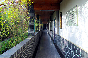 午夜免费电影園長廊