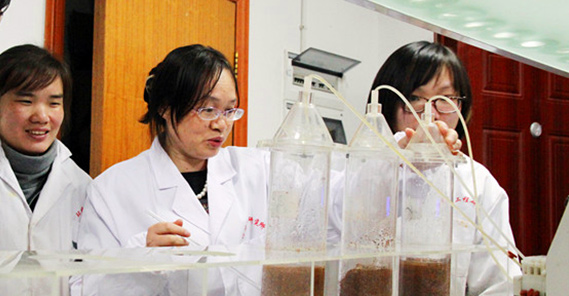 國家重金屬汙染防治工程技術研究中心副主任