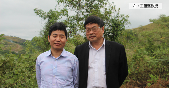 副教授級研究員、高級工程師