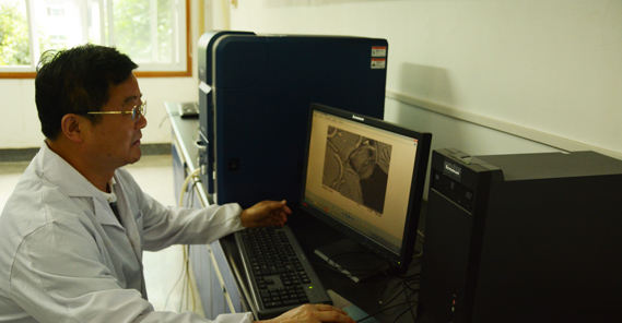 湖南省林業科學院林業研究所所長