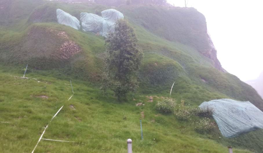 桂陽午夜天堂网2個月 桂陽午夜天堂网2個月