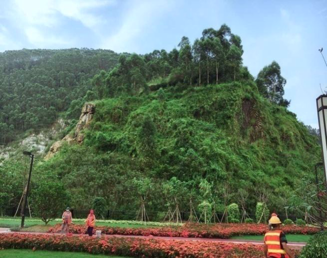 桂陽午夜天堂网2年 桂陽午夜天堂网2年