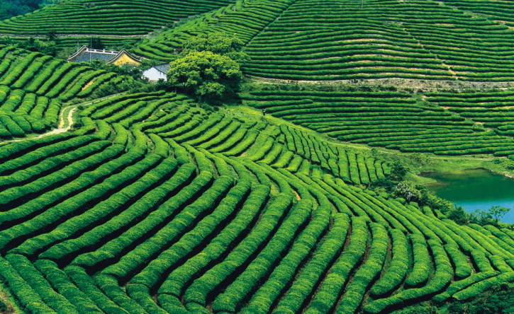 廢棄礦山午夜天堂网3