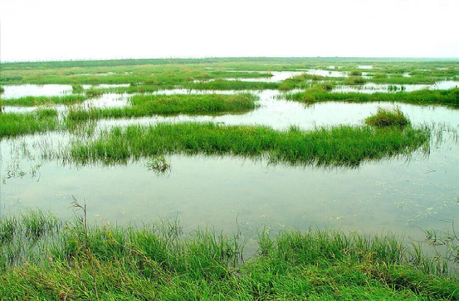 水生態午夜天堂网1