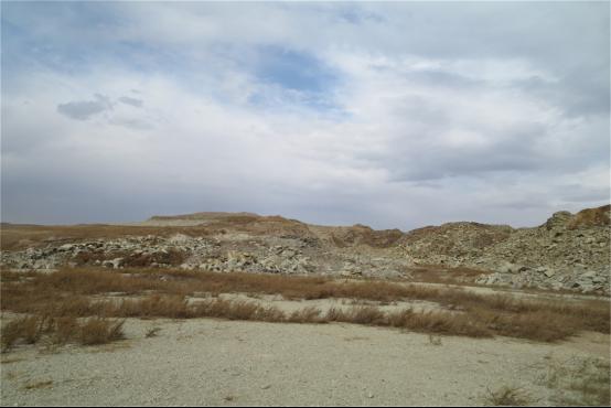 紮魯特礦山午夜天堂网前