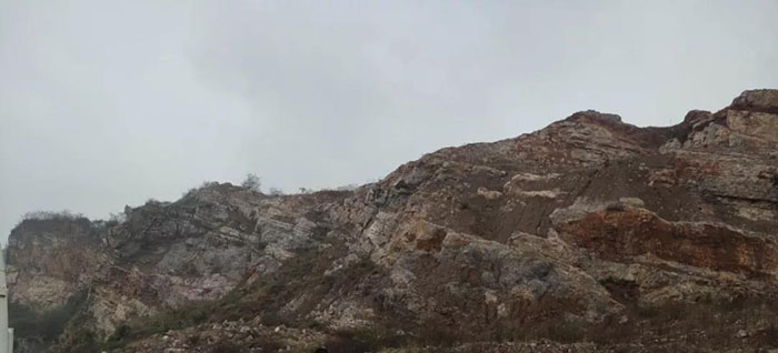 獅子山午夜天堂网前官網1