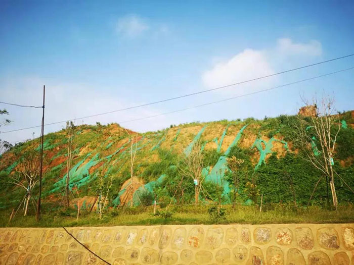 獅子山午夜天堂网中2官網