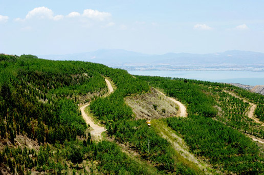 礦山生態午夜天堂网