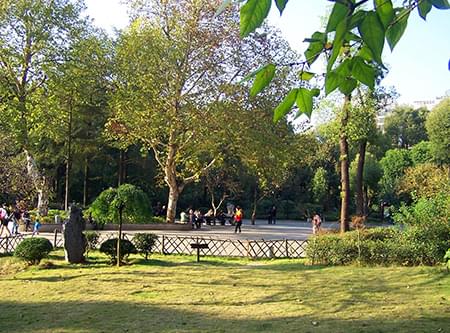 湖公園提質二期一標段建設工程 湖公園提質二期一標段建設工程