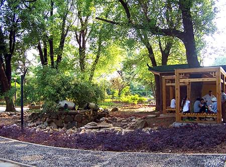 湖公園提質二期一標段建設工程 湖公園提質二期一標段建設工程