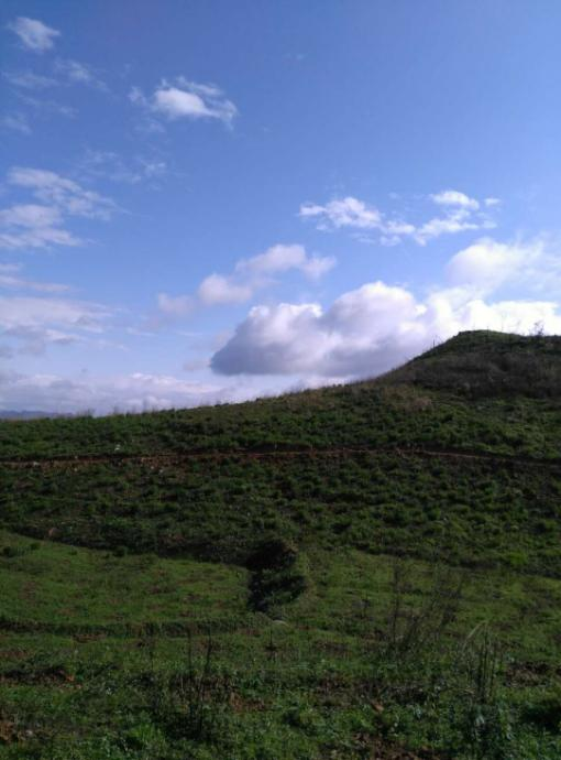 湖南省冷水江市錫礦山地區生態午夜天堂网項目