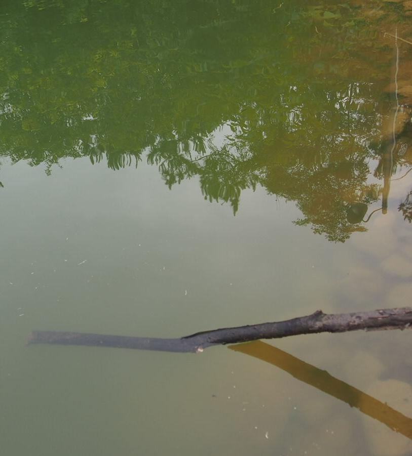 惠州市楊村鎮矛塘水庫