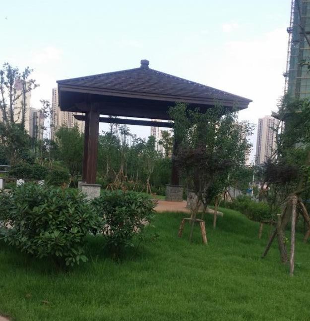 靳江河南岸綠化工程 (省優工程) 靳江河南岸綠化工程 (省優工程)