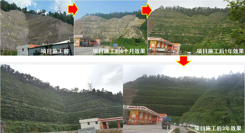 珠海市鬥門區山體邊坡生態午夜天堂网 珠海市鬥門區山體邊坡生態午夜天堂网