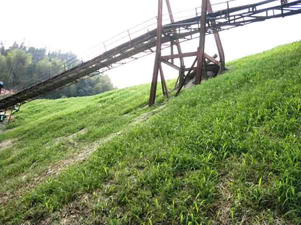 大義山午夜天堂网後