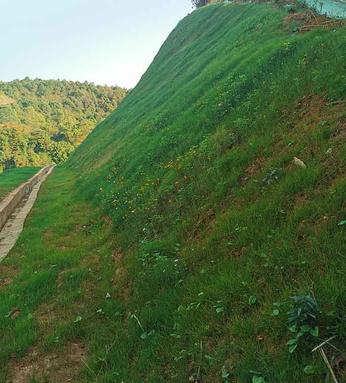 午夜天堂网後圖4guanw