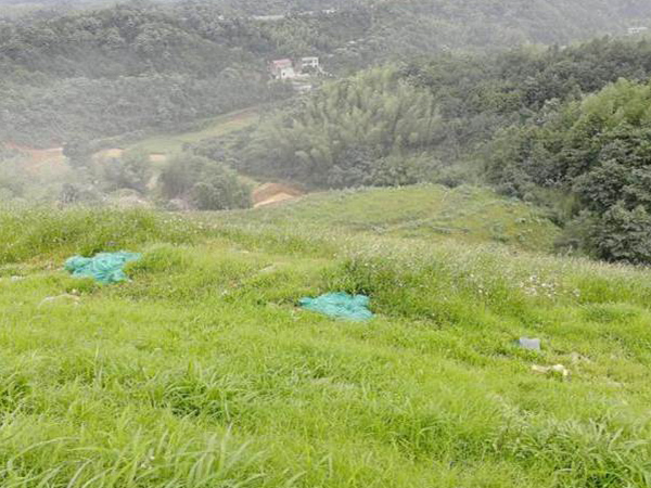 采石場生態午夜天堂网