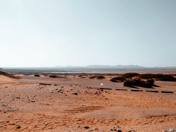 荒漠生態午夜天堂网