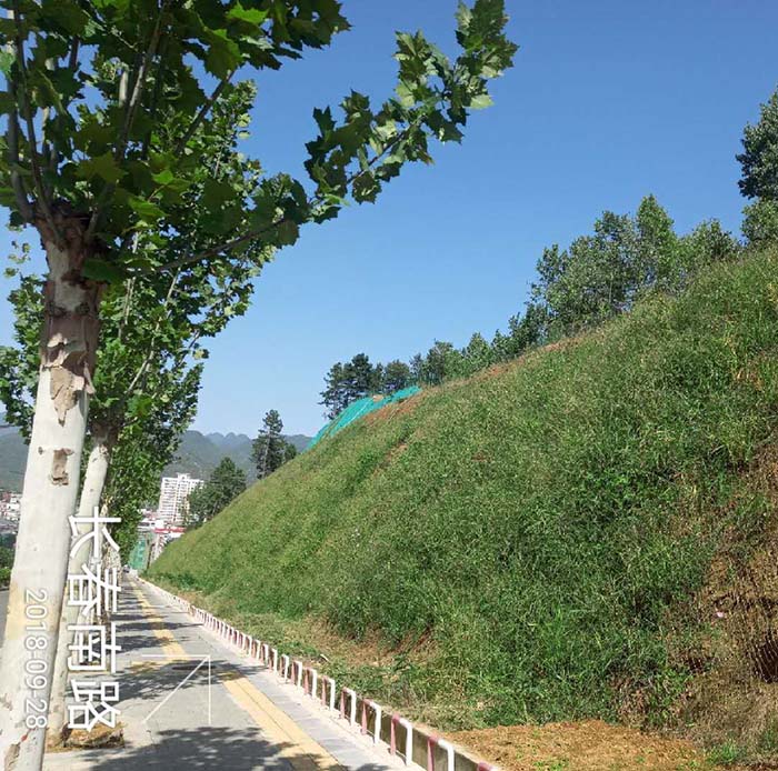 河南省洛陽市欒川縣老君山景區山體午夜天堂网