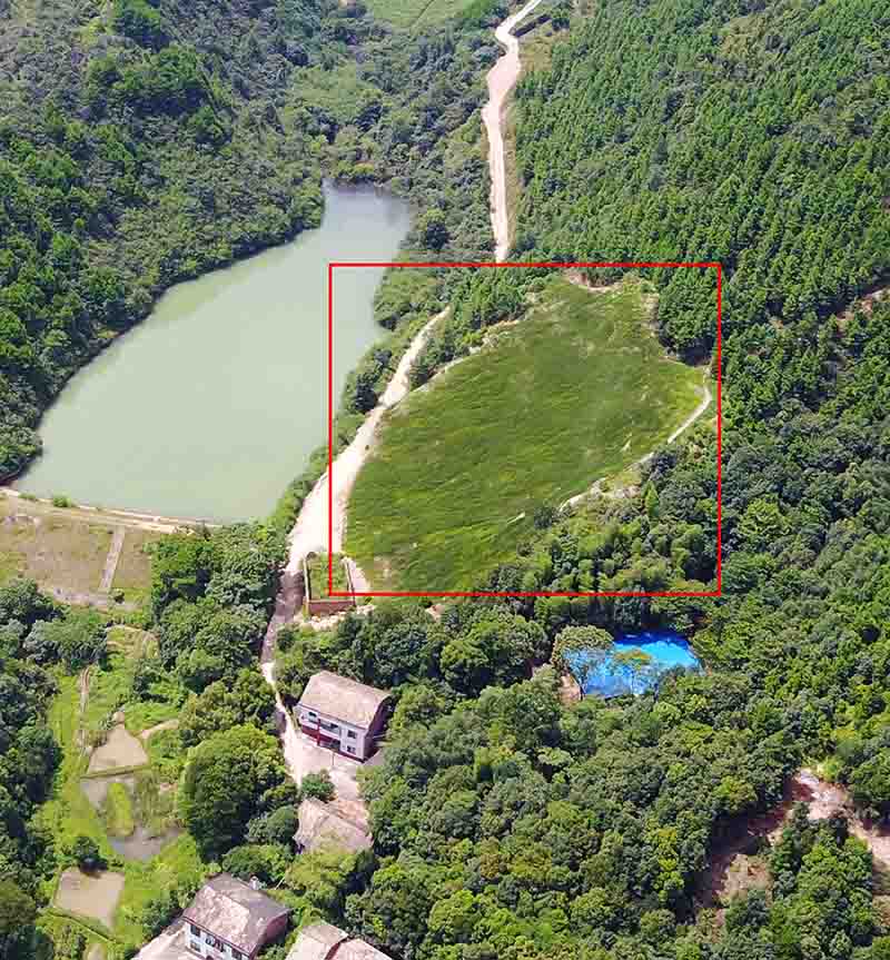 株洲醴陵市國瓷街道辦華塘礦區生態午夜天堂网工程項目