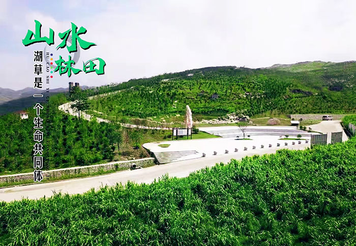 湖南省婁底市冷水江銻煤礦區山水林田湖草生態保護午夜天堂网項目