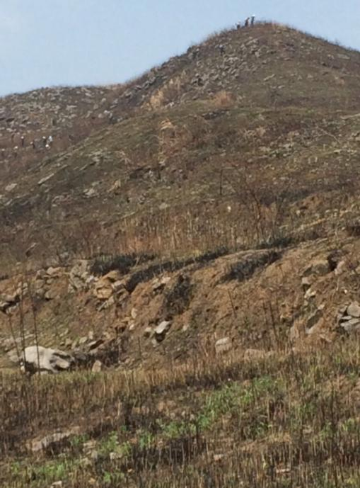 冷水江錫礦山午夜天堂网前