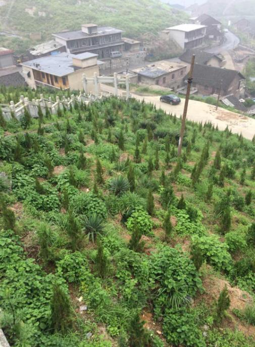 冷水江錫礦山午夜天堂网中1 冷水江錫礦山午夜天堂网中1