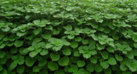 貴州省銅仁市生態午夜天堂网與精準扶貧示範區