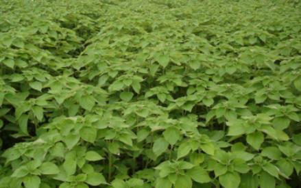 貴州省銅仁市生態午夜天堂网與精準扶貧示範區