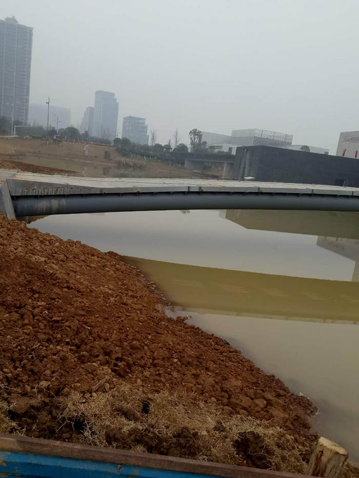 洋湖濕地生態午夜天堂网與保育工程