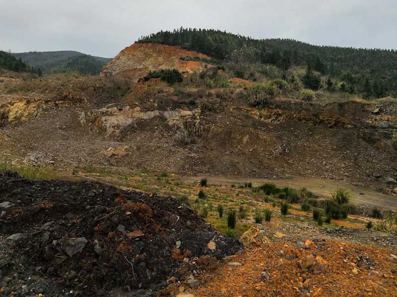 株洲醴陵市國瓷街道辦華塘礦區生態午夜天堂网工程項目